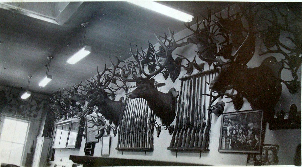 One Wall of hunting trophies at Sommervilles
